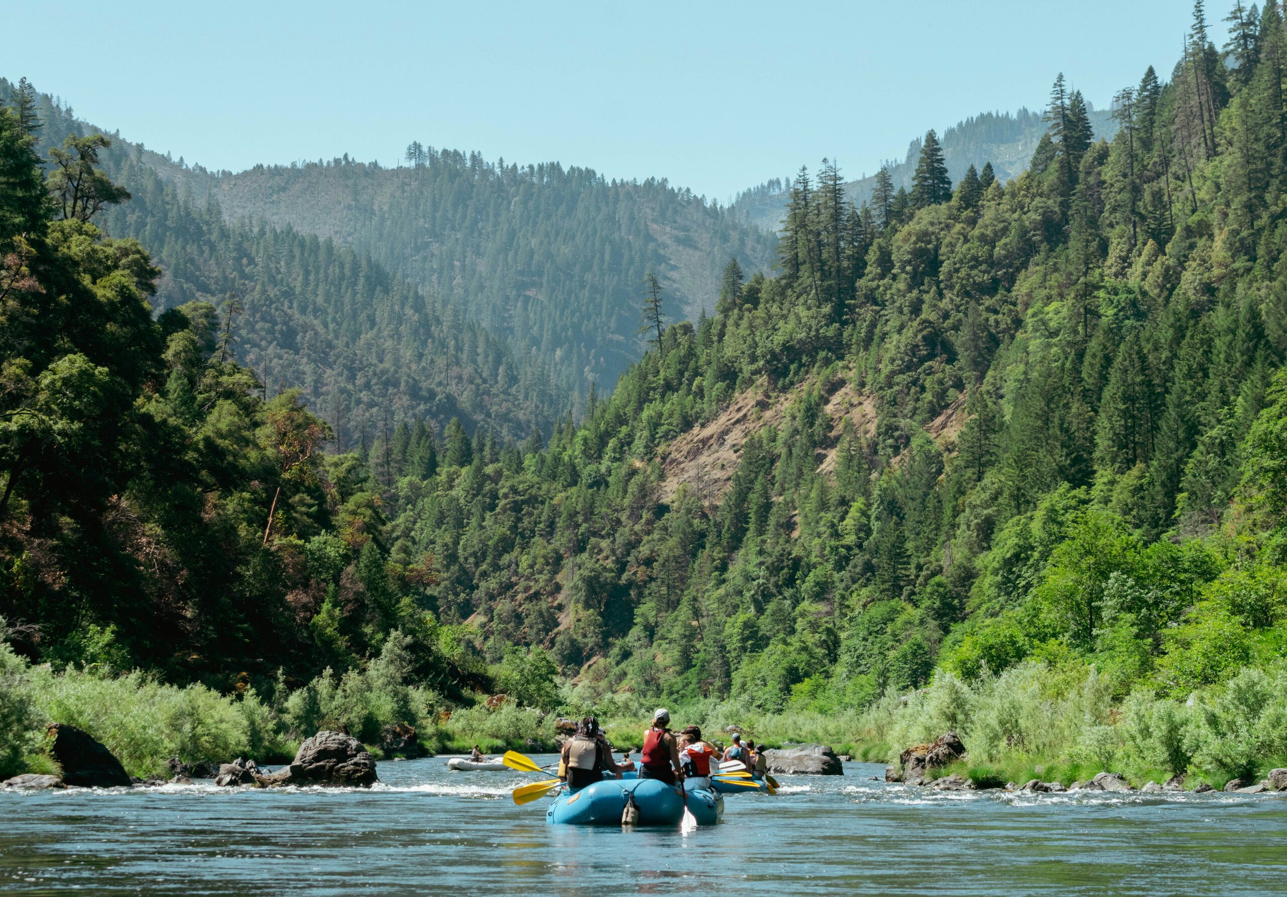 Pacific Northwest forest and mountain background